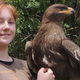 Illustration for article titled 15-year-old prodigy girl draws amazingly well emand/em trains falcons too